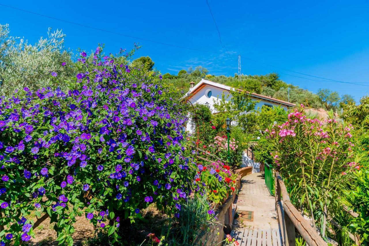 Вилла Cubo'S Casa El Pantanillo Ардалес Экстерьер фото